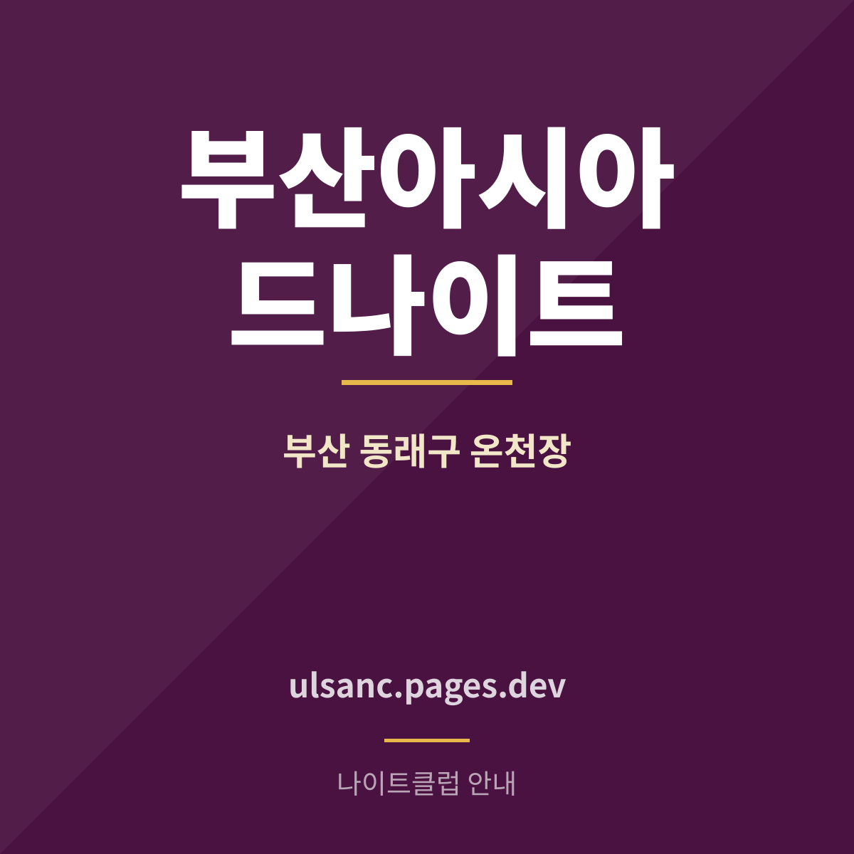 부산아시아드나이트 동래구 온천장 나이트클럽 안내 카드