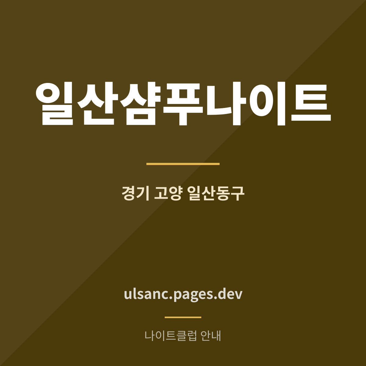 일산샴푸나이트 고양시 일산동구 마두 나이트클럽 안내 카드