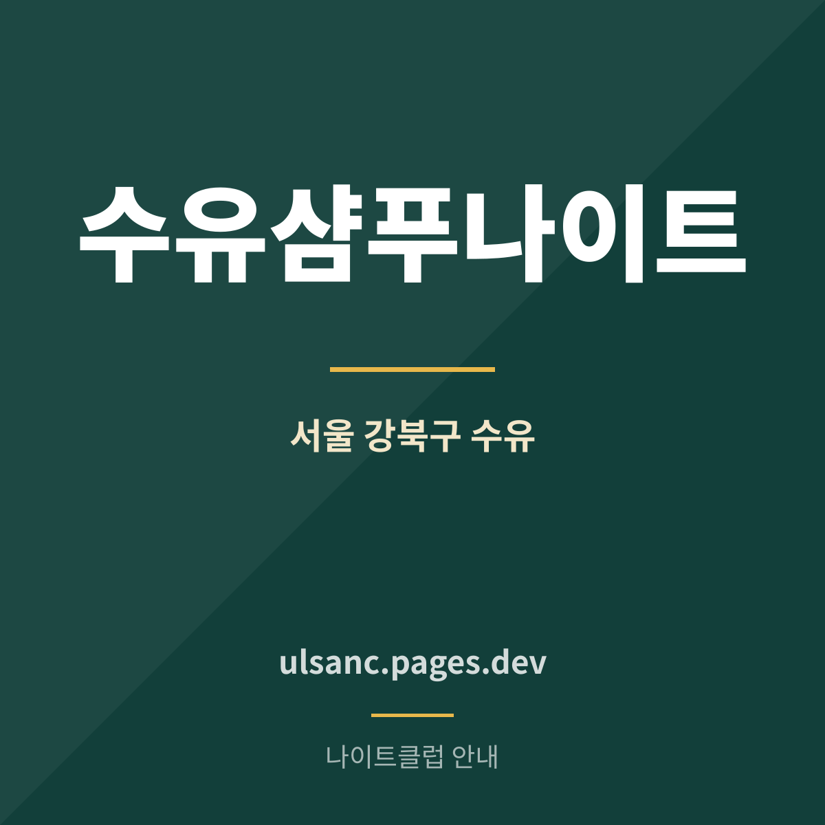 수유샴푸나이트 강북구 수유 나이트클럽 안내 카드