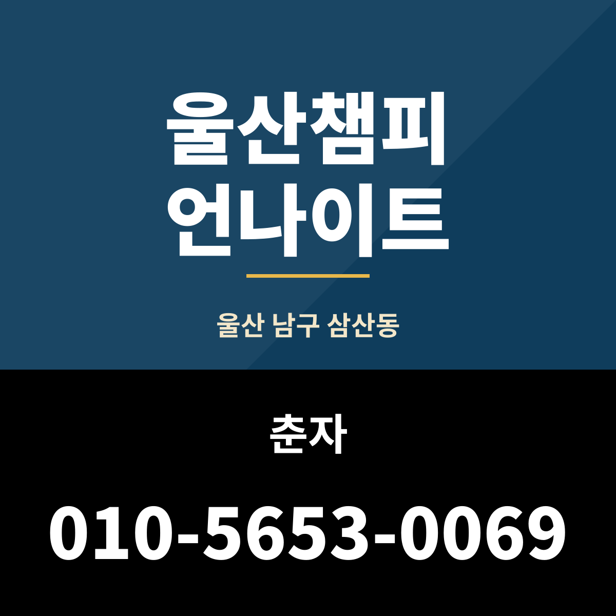 전국 나이트클럽 안내 목록 대표 이미지
