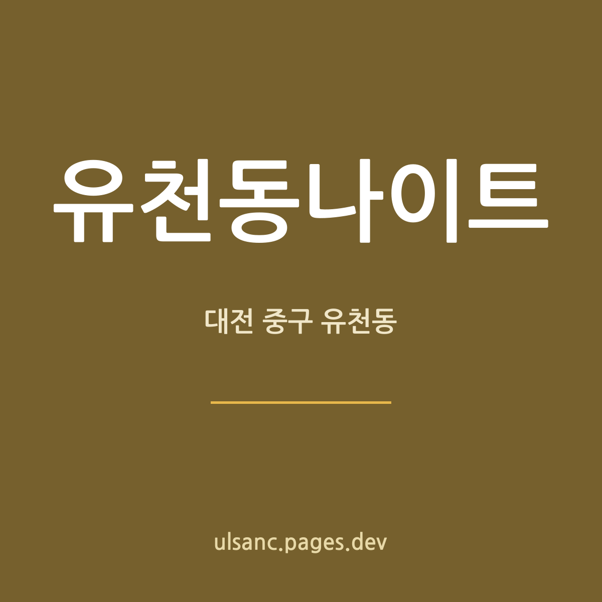 유천동나이트 대전 중구 유천동 밤 안내 카드 — 시간 흐름 정리